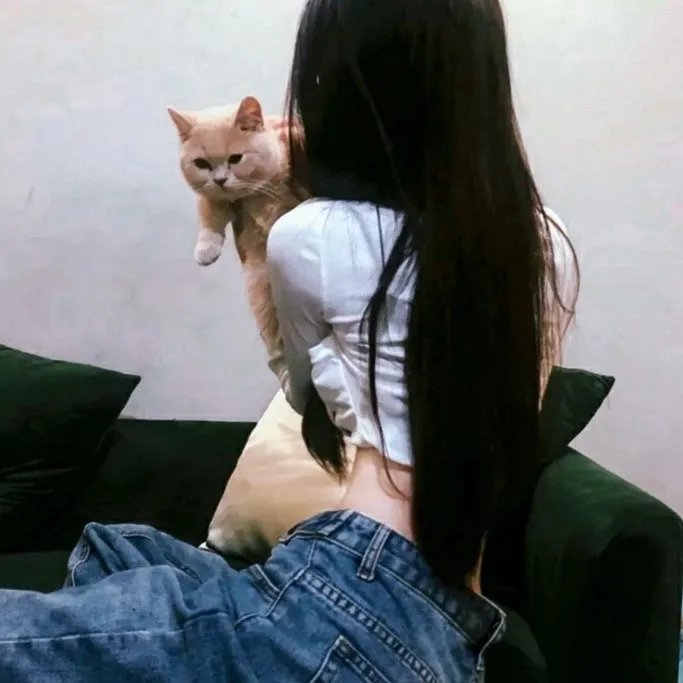达拉斯之王