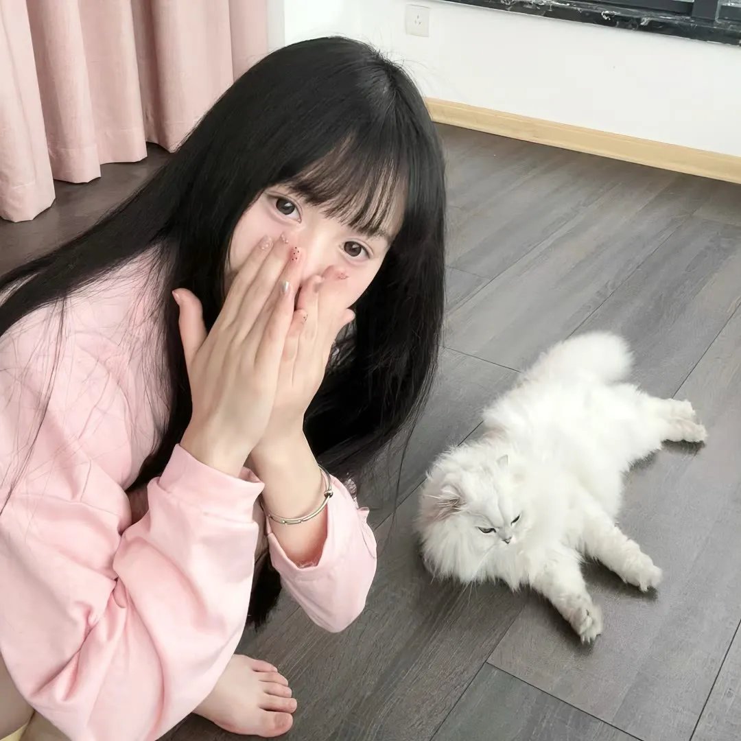 冷月伴君归